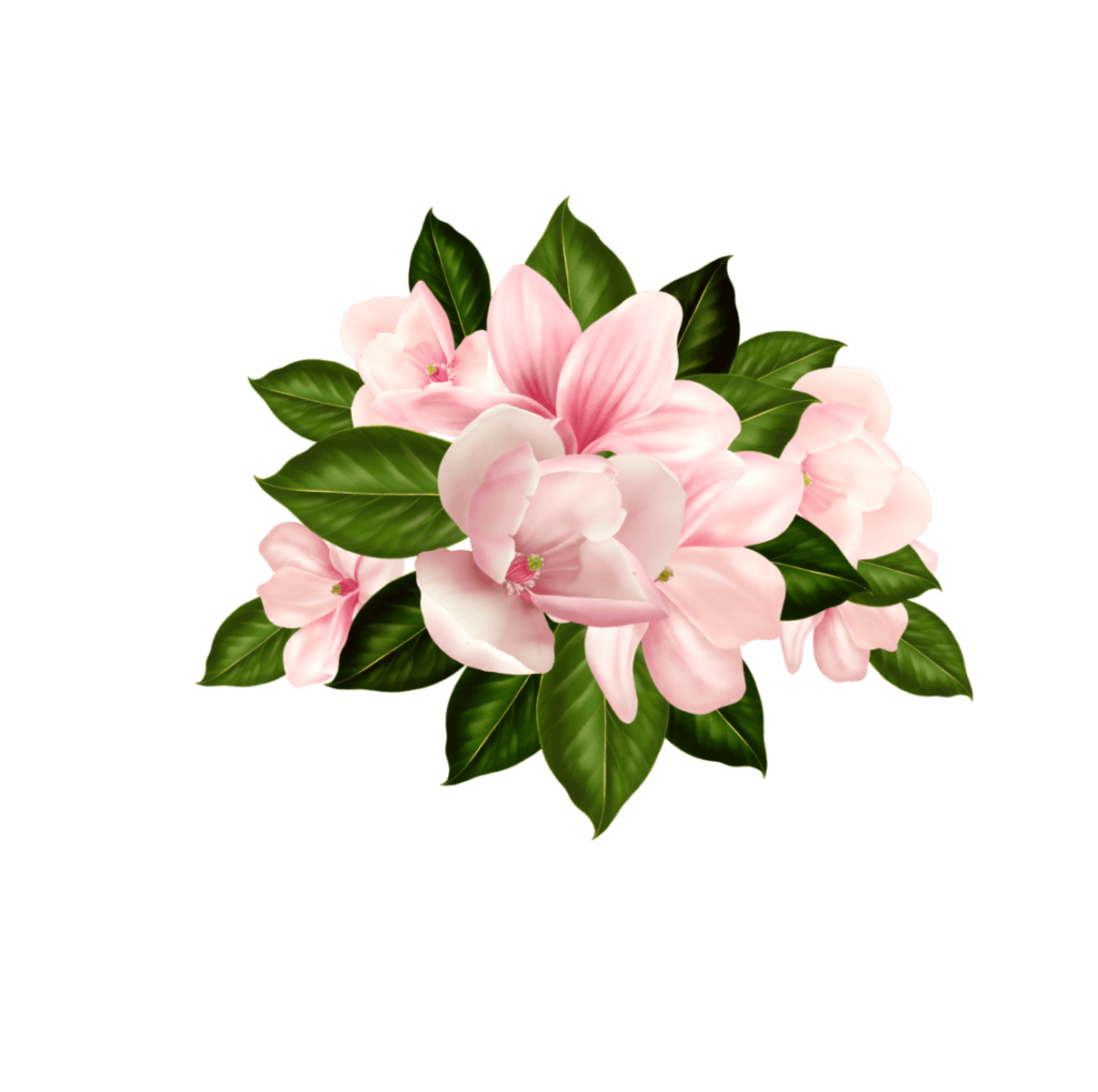 Tilia Sahne | Afyonkarahisar Düğün Salonu | Afyonkarahisar Kır Düğünü | Afyonkarahisar Düğün | Afyonkarahisar Nişan | Afyonkarahisar Kına | Afyonkarahisar Sünnet | Afyonkarahisar Davet | Afyonkarahisar Organizasyon | Afyonkarahisar Etkinlik | Afyonkarahisar Kız İsteme